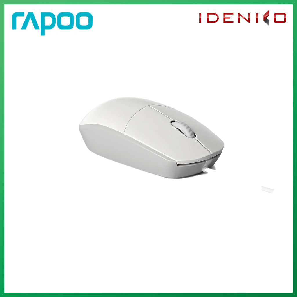 Rapoo N100 Optical Mouse